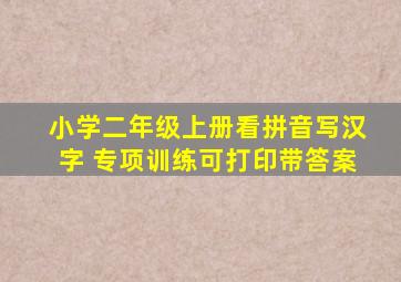 小学二年级上册看拼音写汉字 专项训练可打印带答案